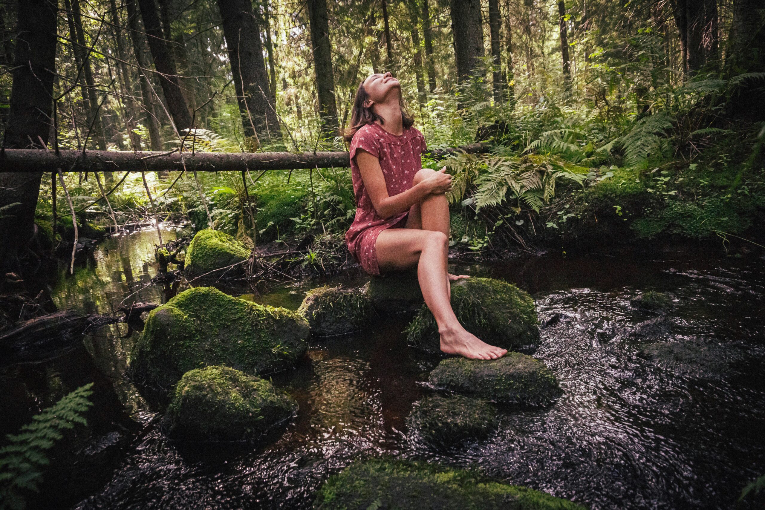 inspired by nature