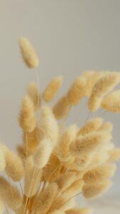 decorating with natural textures