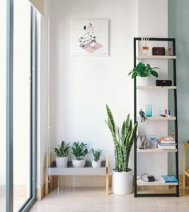 minimalist decor
