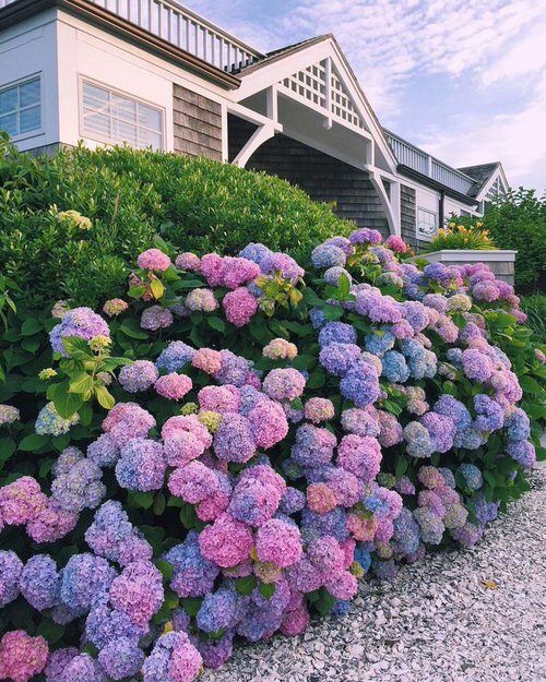 flower garden maintenance