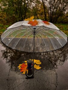 rainy day 