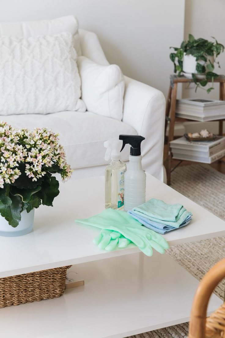 minimalist winter cleaning