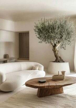 olive tree indoor