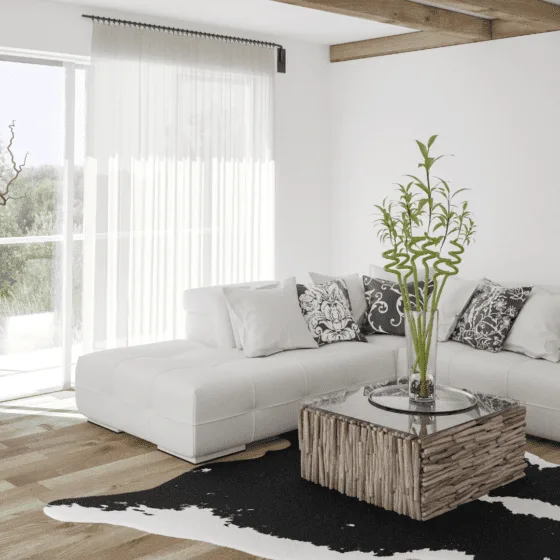 Amazon Organization Finds That Actually Reduce Daily Clutter