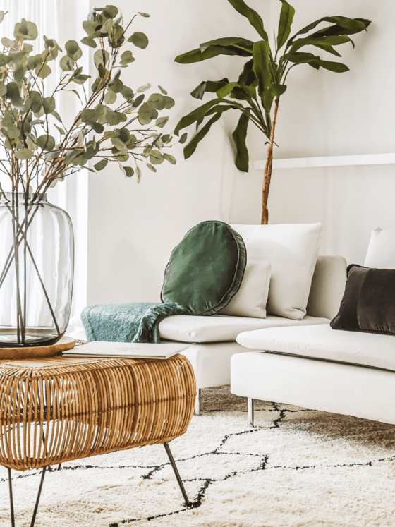 Daily Clutter Systems: The Hidden Reason Mess Isn’t Laziness (It’s Missing Structure)