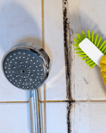 How to Remove Black Mold from Shower Tiles and Bathtub 