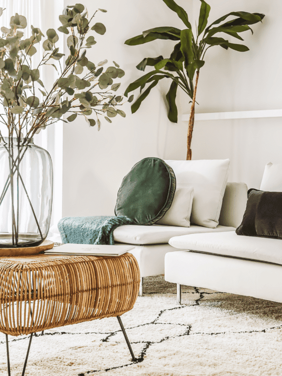 Daily Clutter Systems: The Hidden Reason Mess Isn’t Laziness (It’s Missing Structure)